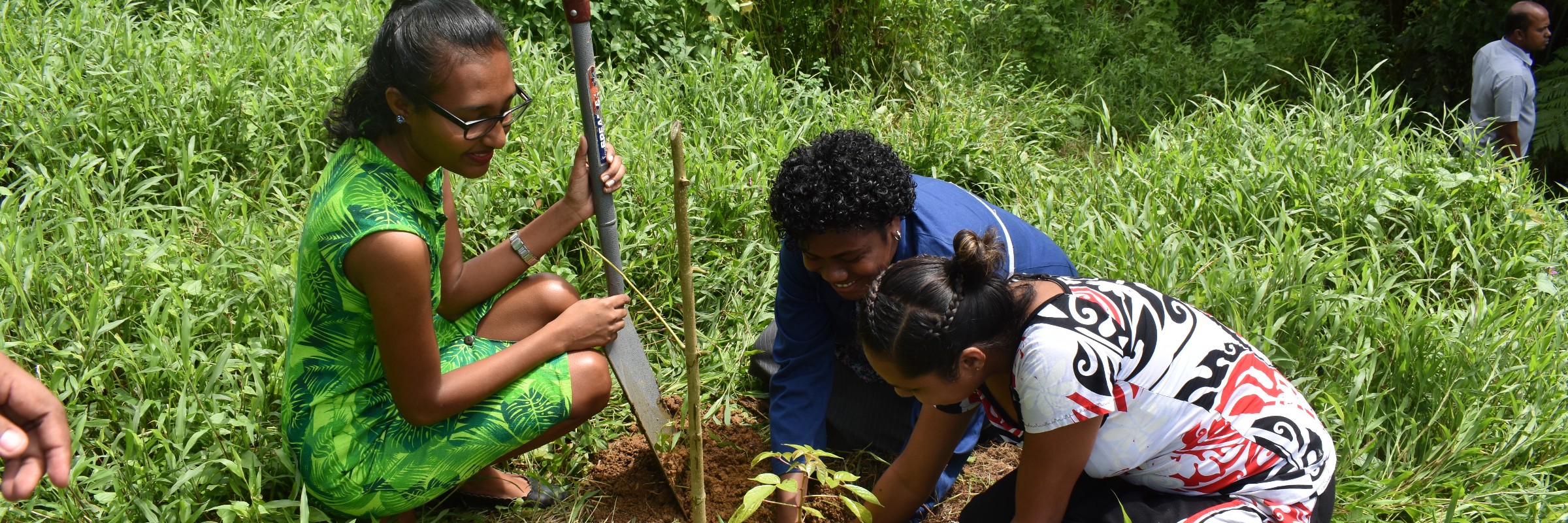 2019 International Day of Forests Theme